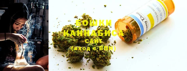 сатива Осинники