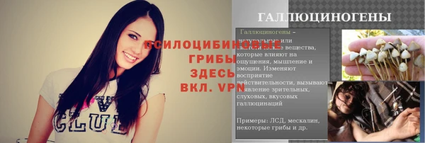 сатива Осинники