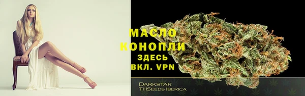 сатива Осинники