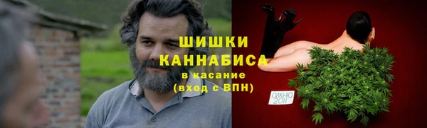 сатива Осинники