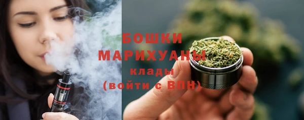 сатива Осинники