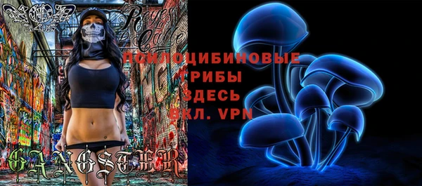 прущие грибы Остров