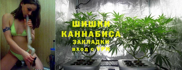 прущие грибы Остров