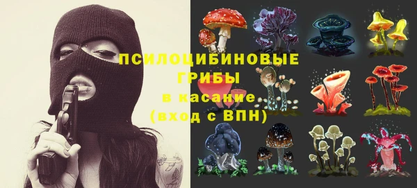 прущие грибы Остров