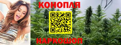 бошки Балашиха