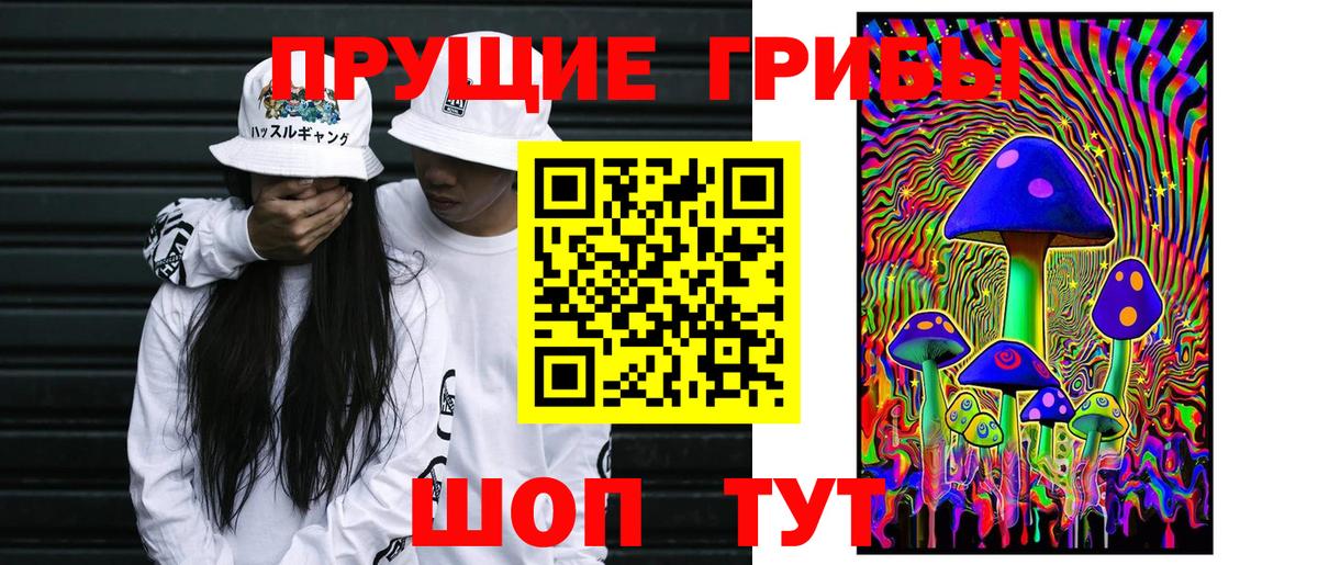 Галлюциногенные грибы ЛСД Курчалой