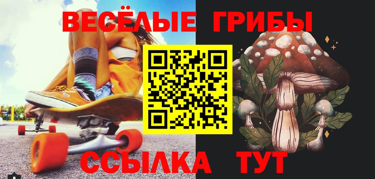 Галлюциногенные грибы Psilocybe  Вход с VPN  Псилоцибиновые грибы Psilocybine cubensis  дарнет шоп  Курчалой 