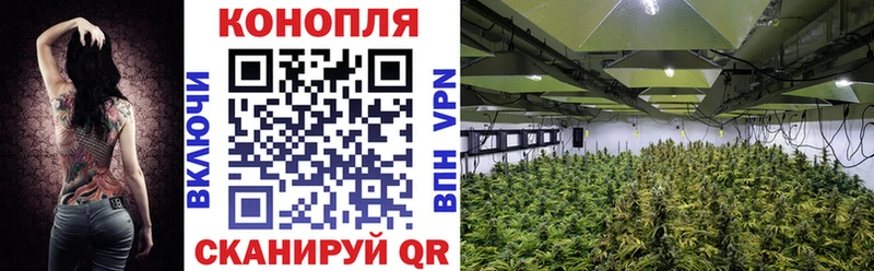 Марихуана LSD WEED  Курчалой 